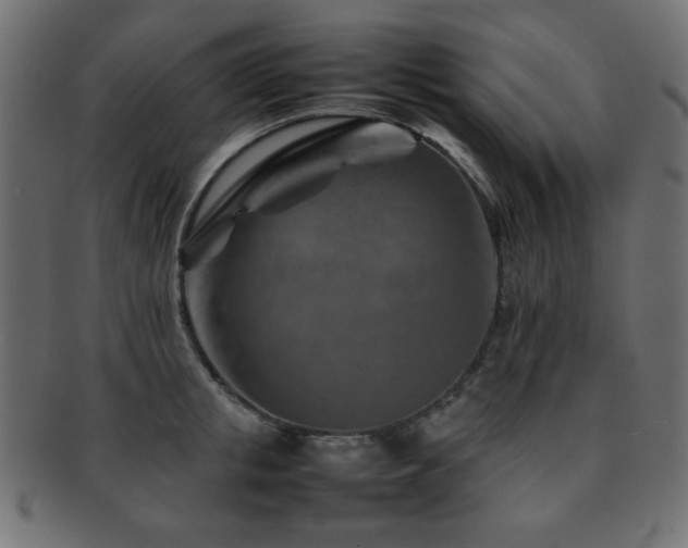 X0000092270853200709141200