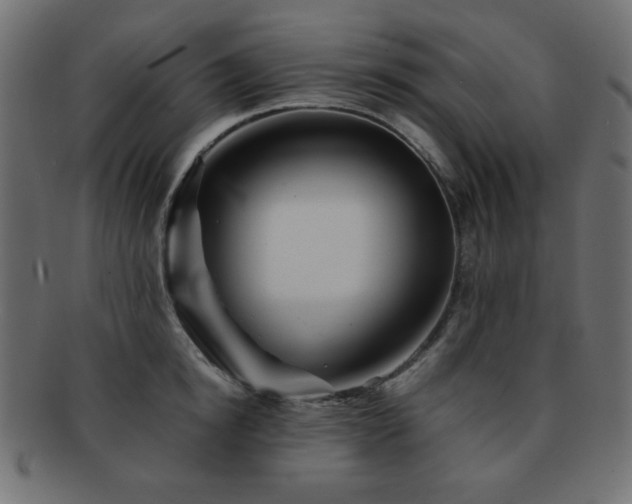 X0000092270854200709141200