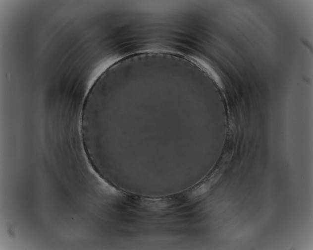 X0000092270855200709141200