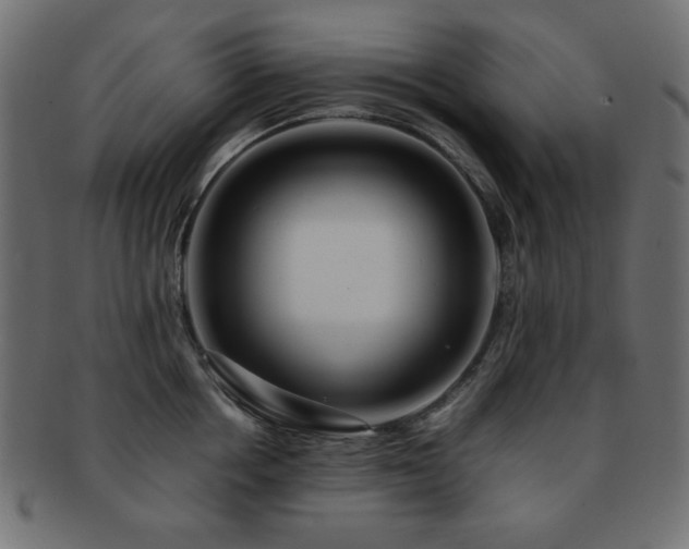 X0000092270858200709141200