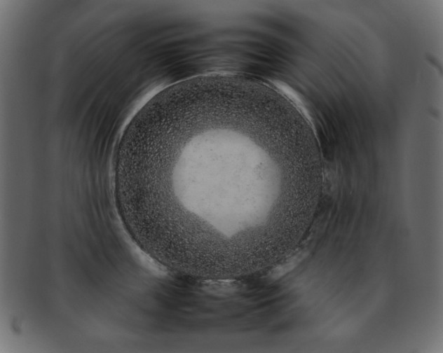 X0000092270859200709141200
