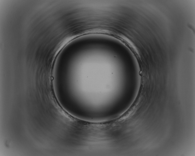 X0000092270860200709141200