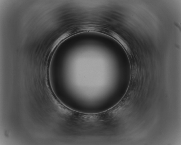 X0000092270861200709141200