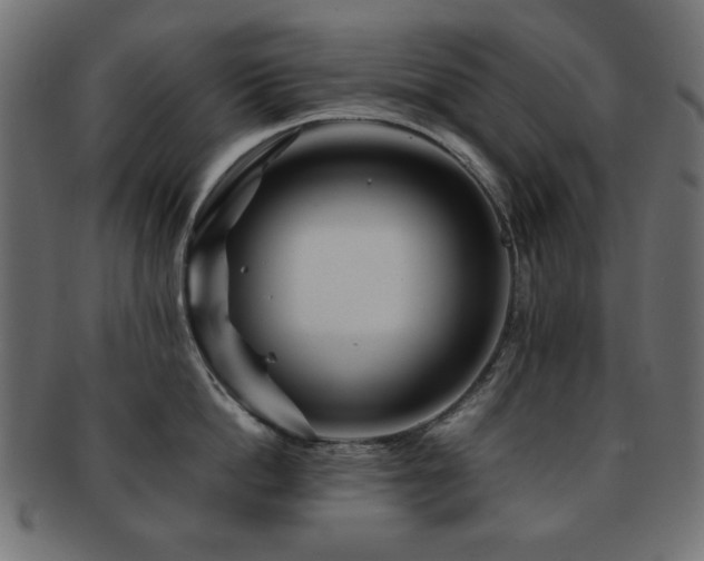 X0000092270862200709141200