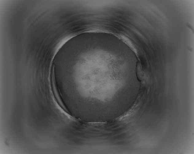 X0000092270863200709141200