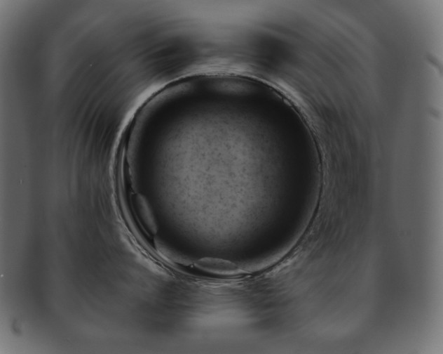 X0000092270864200709141200