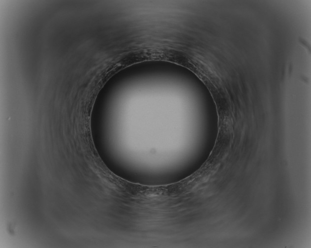X0000092270865200709141159