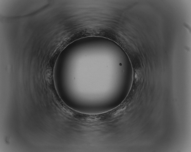 X0000092270867200709141159