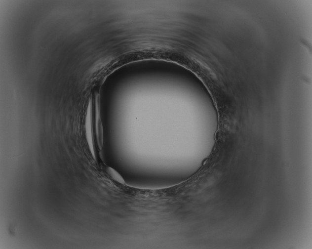 X0000092270869200709141159