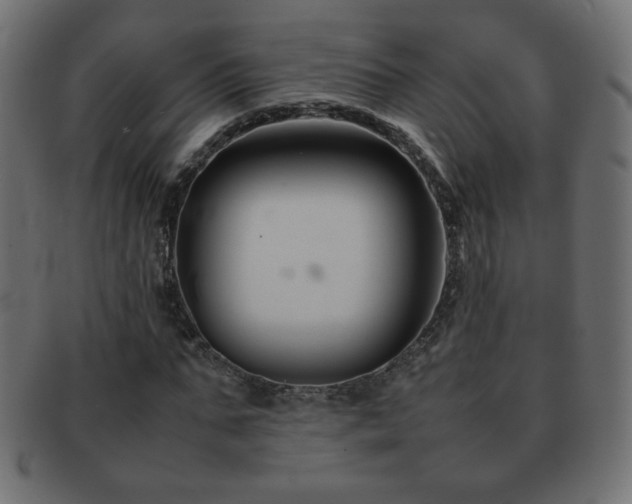 X0000092270871200709141159