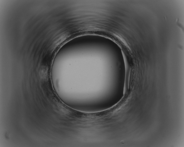 X0000092270873200709141159