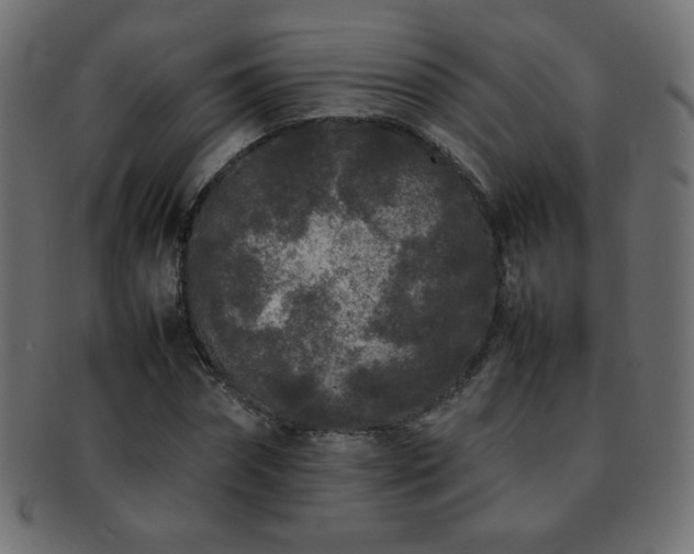 X0000092270874200709141159