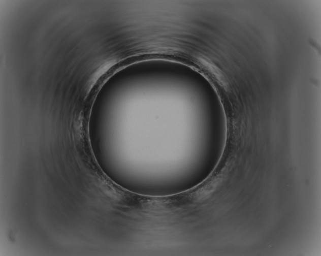 X0000092270875200709141159