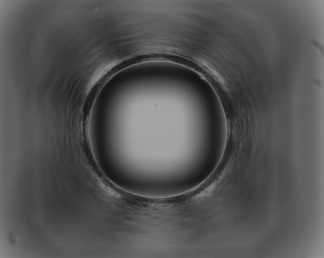 X0000092270877200709141159
