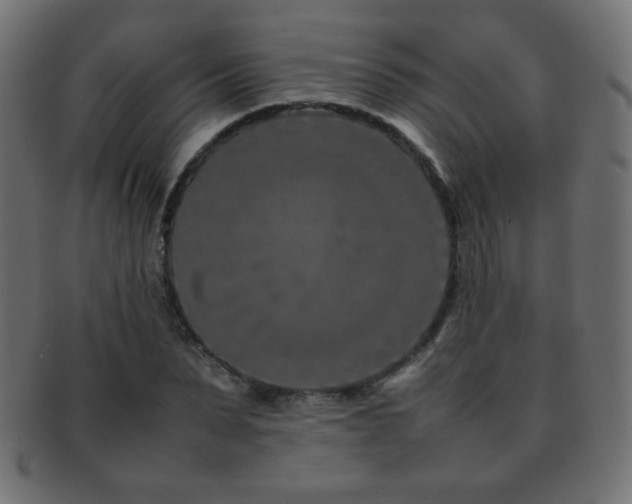 X0000092270879200709141159