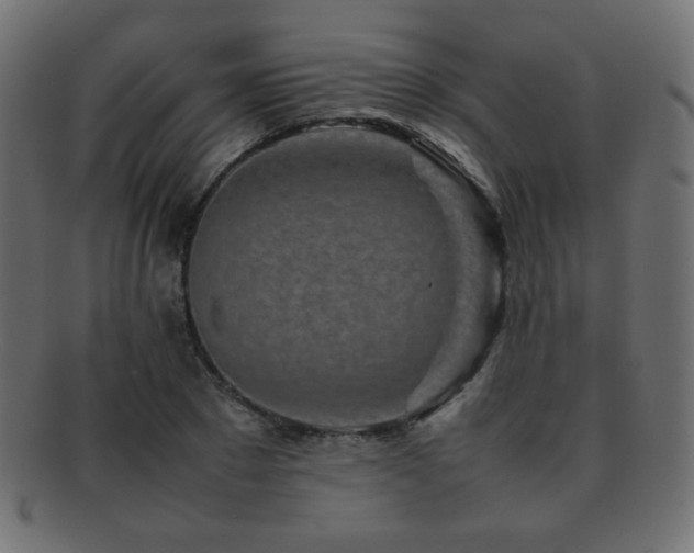 X0000092270881200709141159