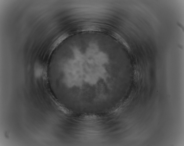 X0000092270882200709141159