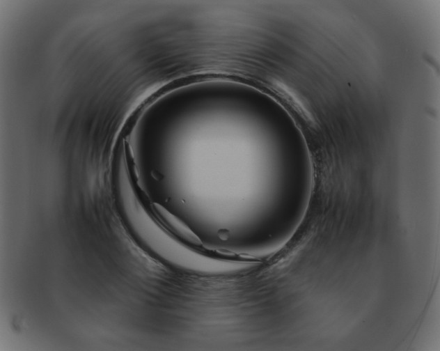 X0000092270884200709141159