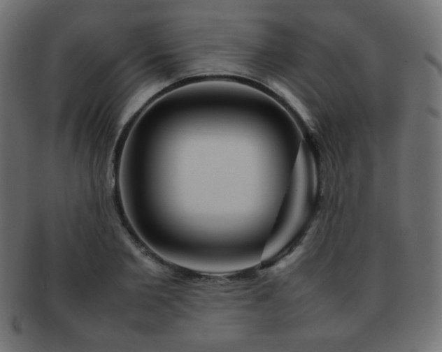 X0000092270885200709141159