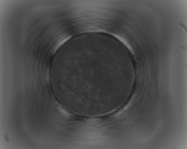 X0000092270889200709141159