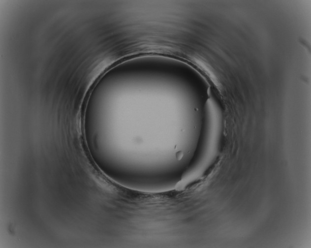 X0000092270891200709141159