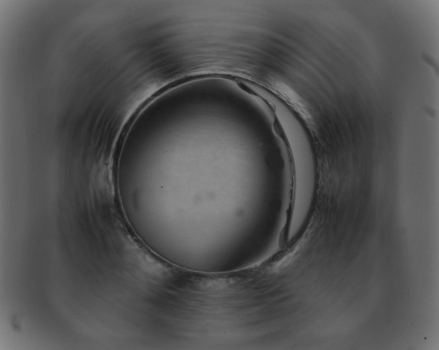 X0000092270892200709141159