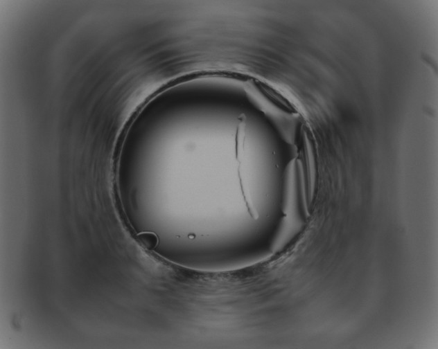 X0000092270895200709141159
