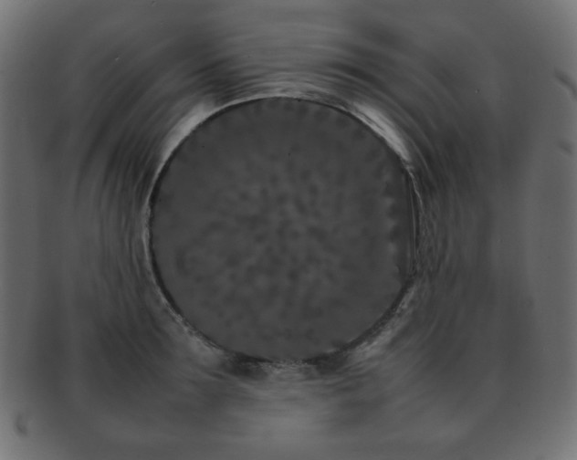 X0000092270899200709141159