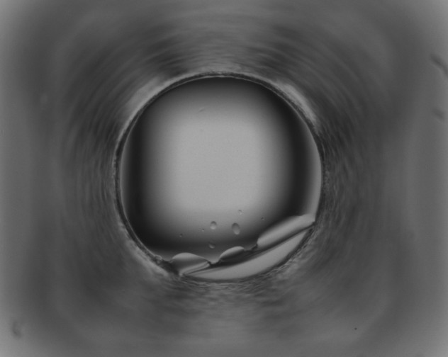 X0000092270903200709141159