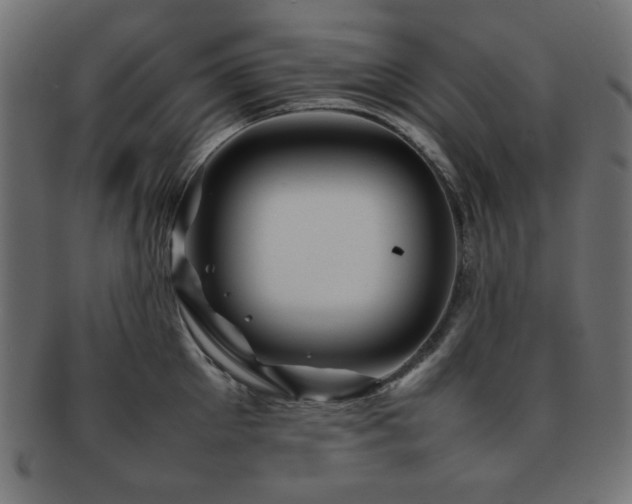 X0000092270905200709141159