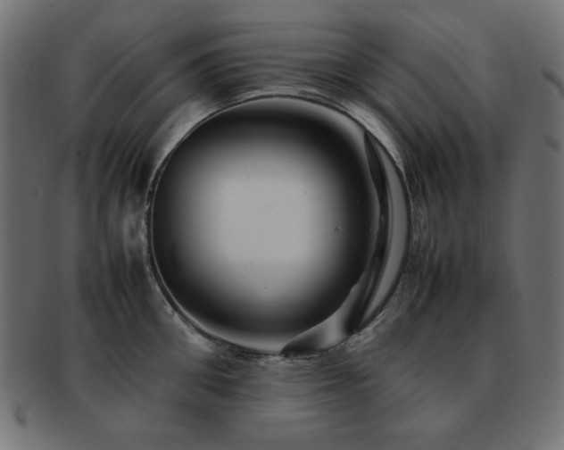 X0000092270906200709141159