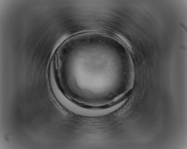 X0000092270907200709141159