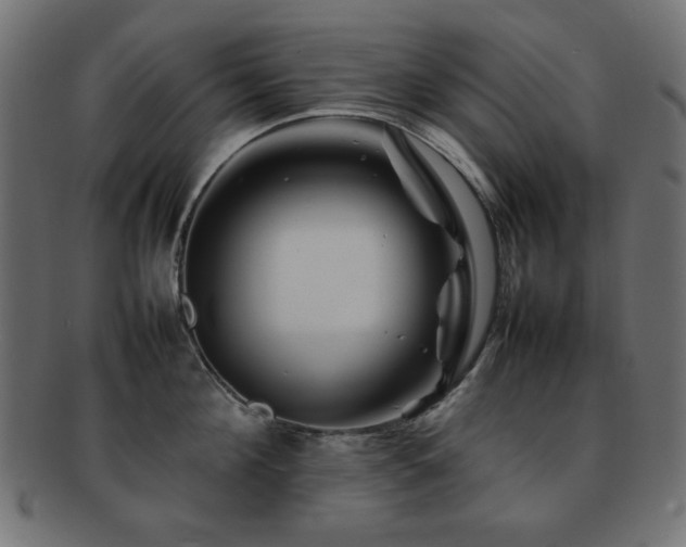 X0000092270908200709141159