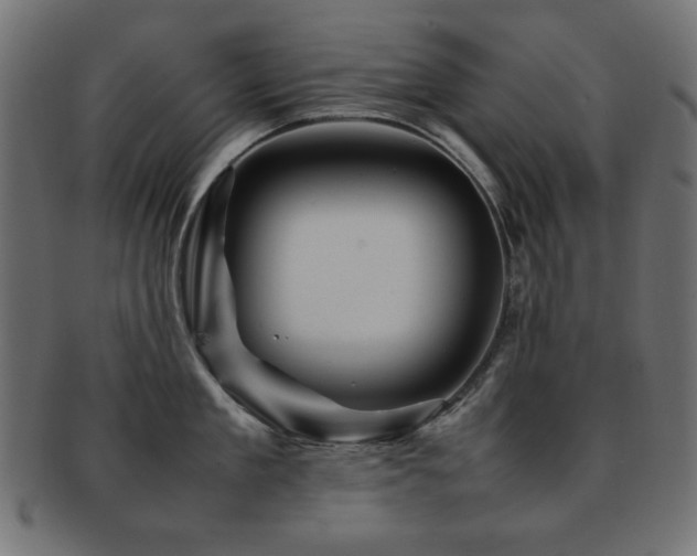 X0000092270909200709141159