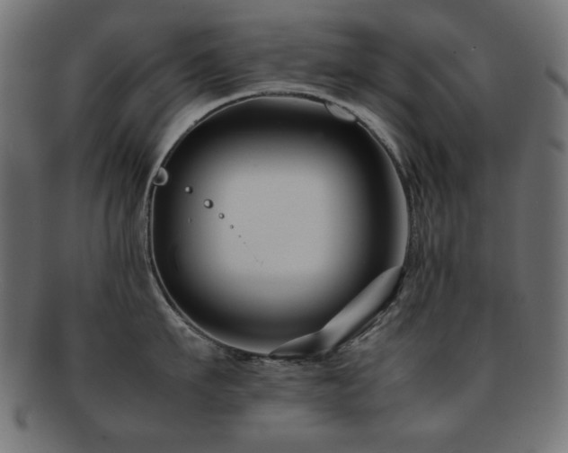 X0000092270911200709141159