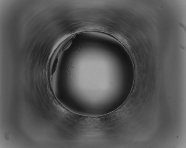 X0000092270912200709141159