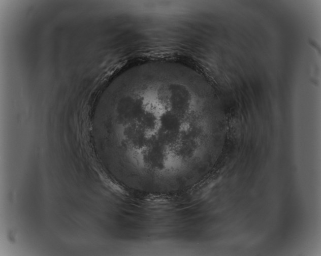X0000092270913200709141158