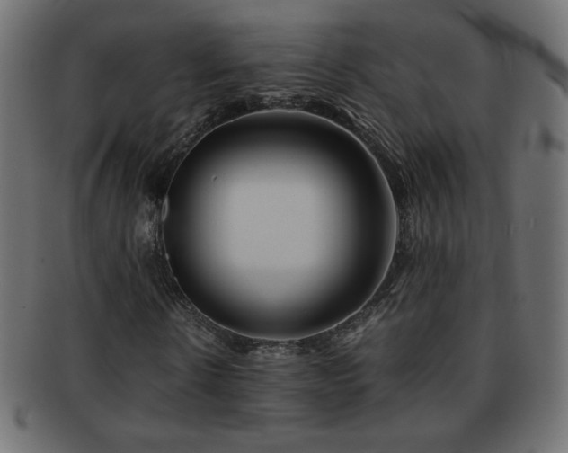 X0000092270914200709141158