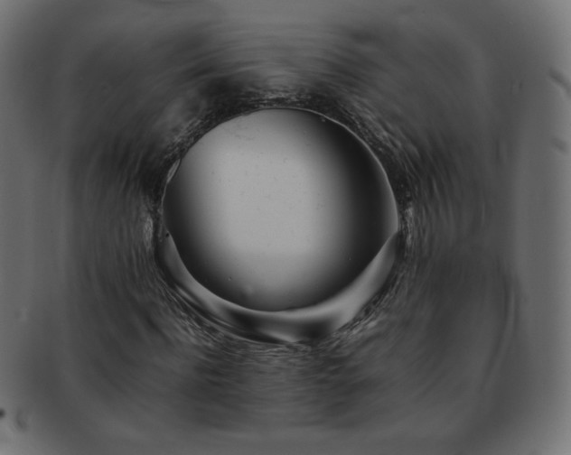 X0000092270916200709141158
