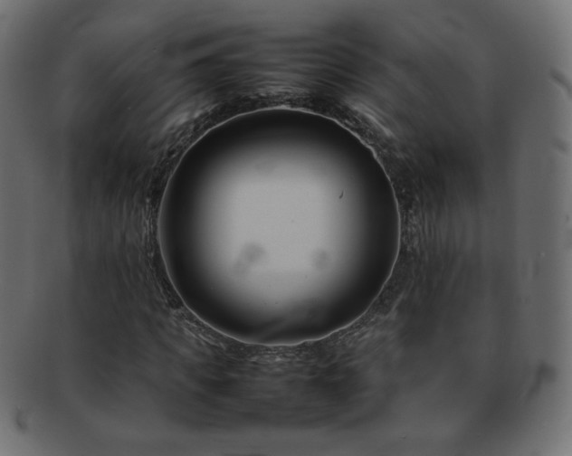 X0000092270917200709141158