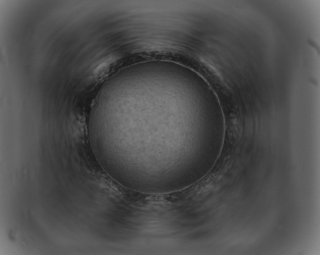 X0000092270918200709141158