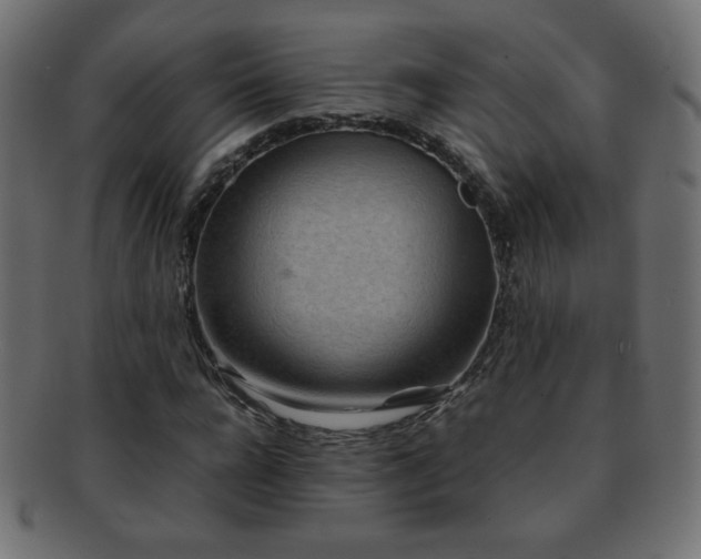 X0000092270920200709141158