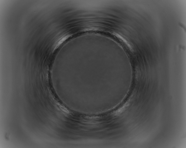 X0000092270921200709141158