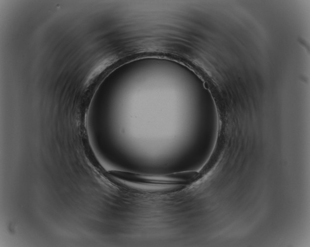X0000092270922200709141158