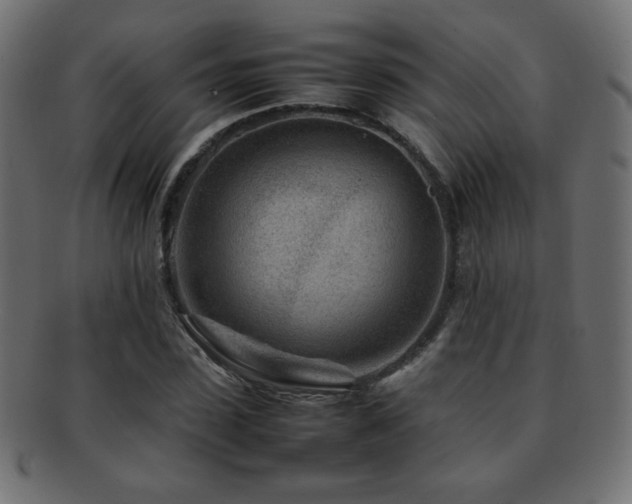 X0000092270923200709141158