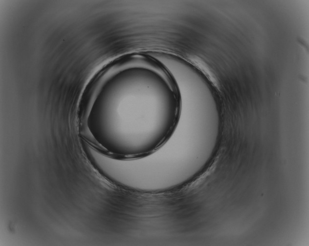 X0000092270924200709141158