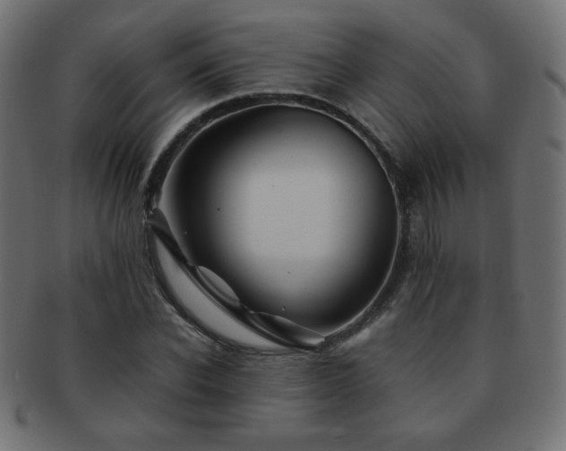 X0000092270926200709141158