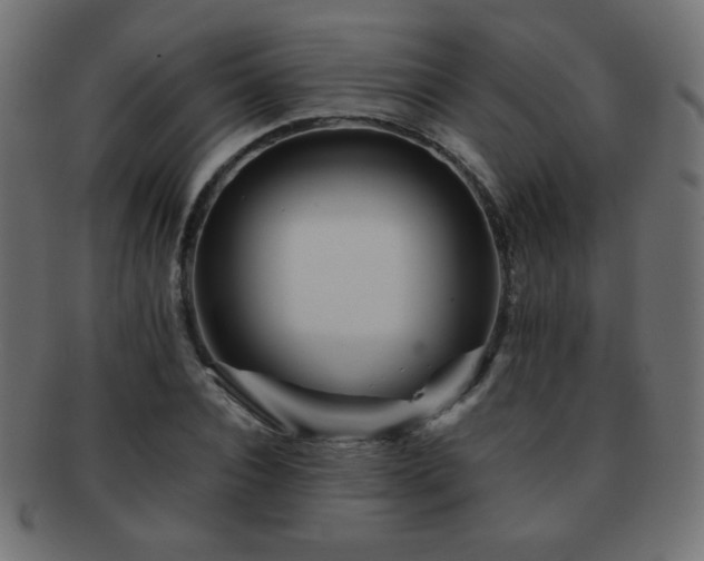 X0000092270928200709141158