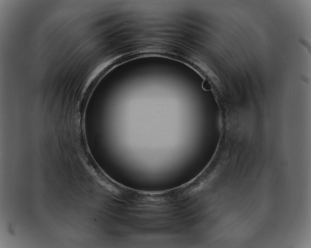 X0000092270933200709141158