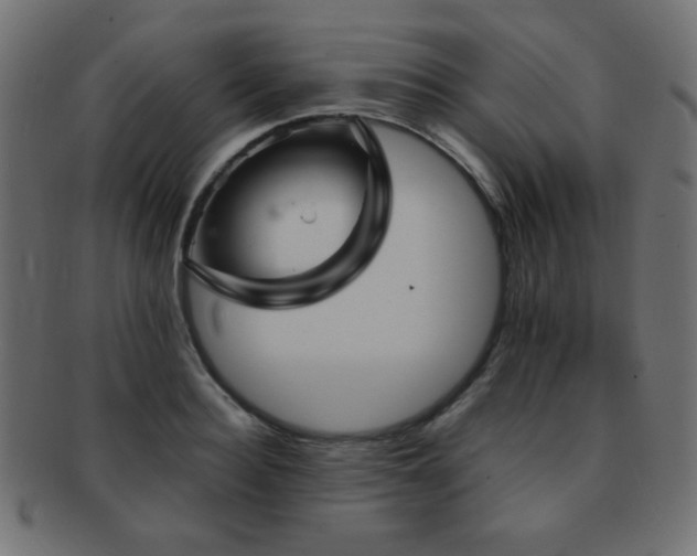 X0000092270940200709141158